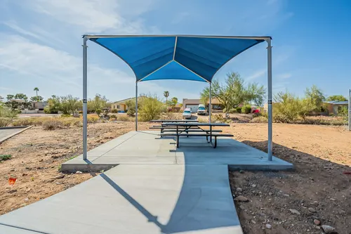 Cotton Woods in Fountain Hills, Arizona