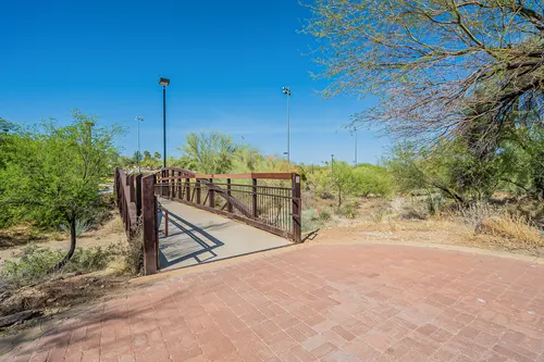 Cotton Woods in Fountain Hills, Arizona