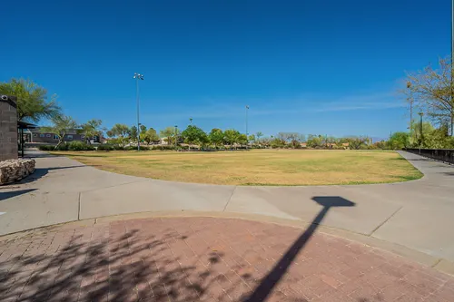 Cotton Woods in Fountain Hills, Arizona