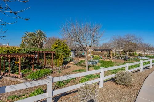 Agritopia in Gilbert, Arizona