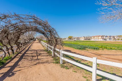 Agritopia in Gilbert, Arizona