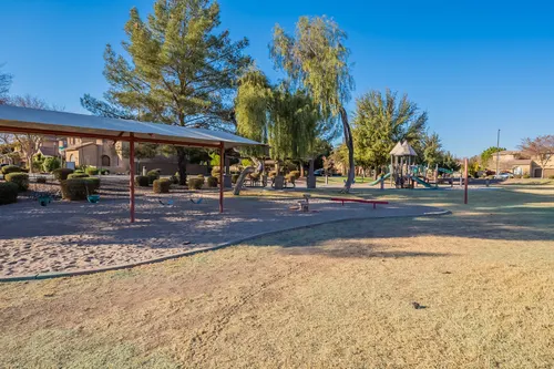 Artemina in Gilbert, Arizona