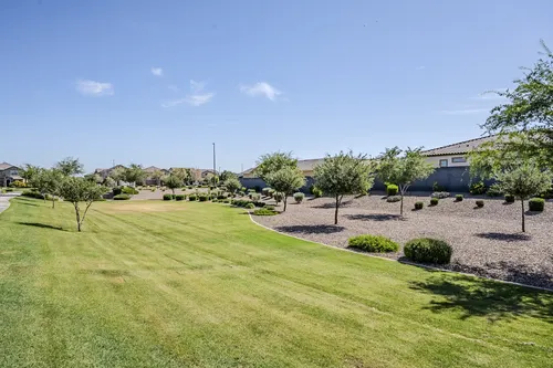 Bellamy in Gilbert, Arizona