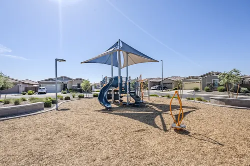 Bellamy in Gilbert, Arizona