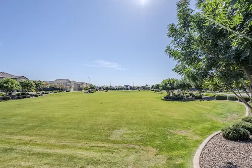 Bellamy in Gilbert, Arizona