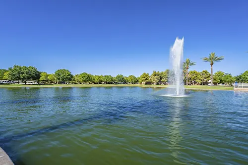 Cactus Yards in Gilbert, Arizona