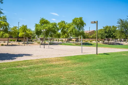 Country Shadows in Gilbert, Arizona