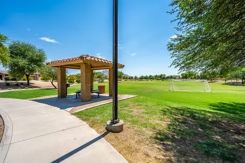 Country Shadows in Gilbert, Arizona