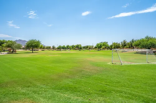 Country Shadows in Gilbert, Arizona