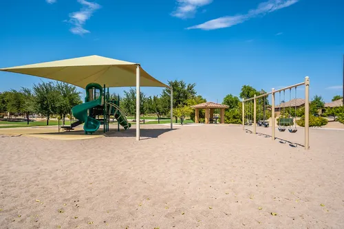 Country Shadows in Gilbert, Arizona
