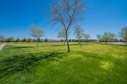 Elliot Groves in Gilbert, Arizona