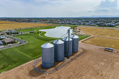 Higley Groves in Gilbert, Arizona