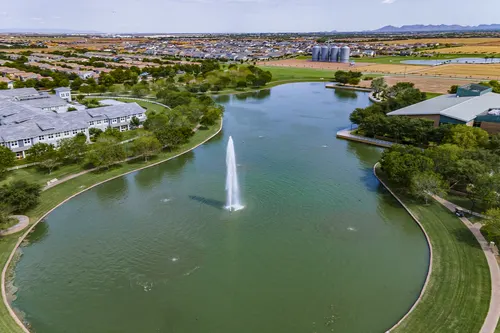 Higley Groves in Gilbert, Arizona