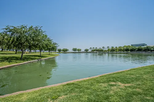 Higley Groves in Gilbert, Arizona