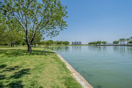 Higley Groves in Gilbert, Arizona