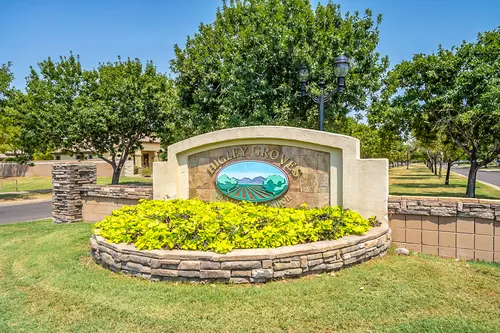 Higley Groves in Gilbert, Arizona
