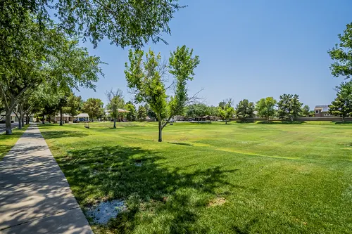 Higley Groves in Gilbert, Arizona