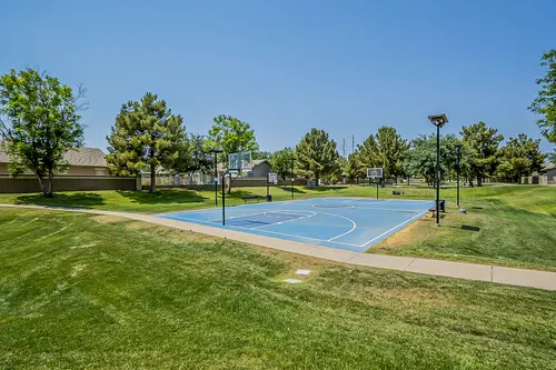 Higley Groves in Gilbert, Arizona