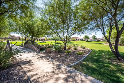 Layton Lakes in Gilbert, Arizona
