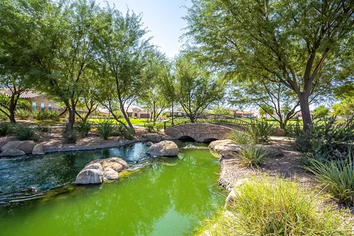 Layton Lakes in Gilbert, Arizona