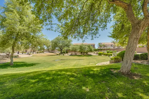Marbella Vineyards in Gilbert, Arizona