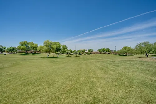 Marbella Vineyards in Gilbert, Arizona