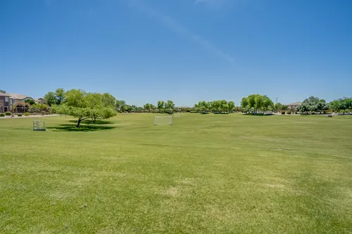 Marbella Vineyards in Gilbert, Arizona