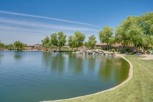 Marbella Vineyards in Gilbert, Arizona