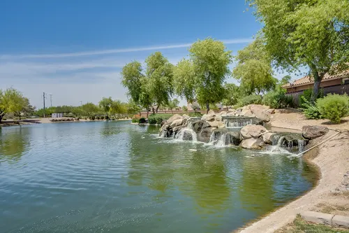 Marbella Vineyards in Gilbert, Arizona