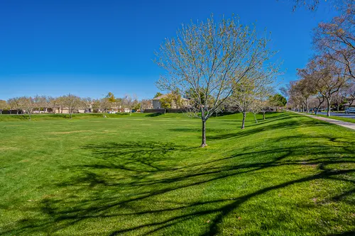 Morrison Ranch in Gilbert, Arizona