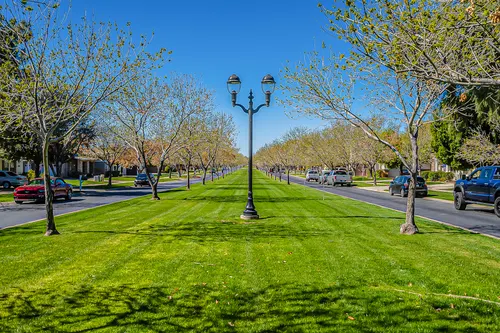 Morrison Ranch in Gilbert, Arizona