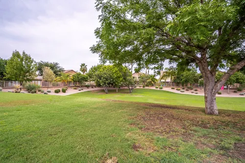 Neely Farms in Gilbert, Arizona
