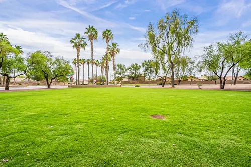 Neely Farms in Gilbert, Arizona