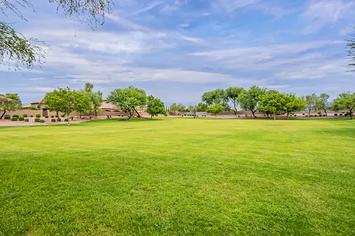 Neely Farms in Gilbert, Arizona