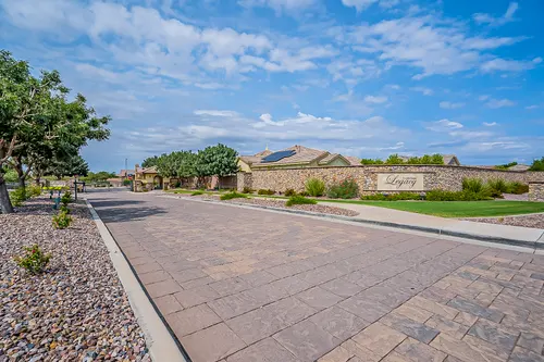 Ocotillo in Gilbert, Arizona