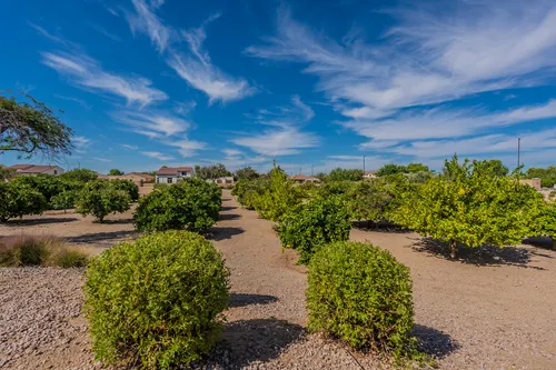 Seville in Gilbert, Arizona