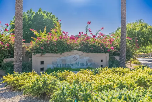 Summer Meadows in Gilbert, Arizona