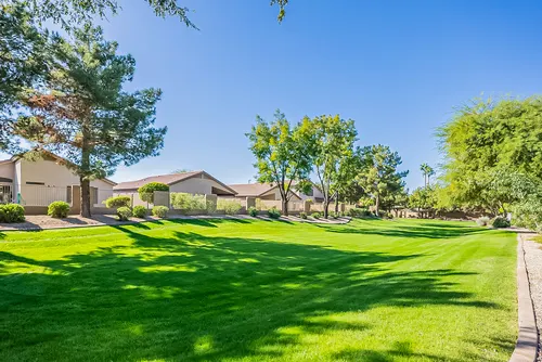 Summer Meadows in Gilbert, Arizona