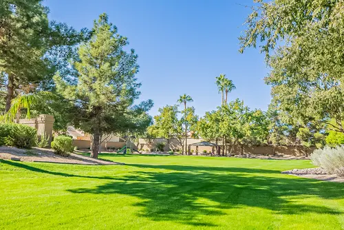 Summer Meadows in Gilbert, Arizona