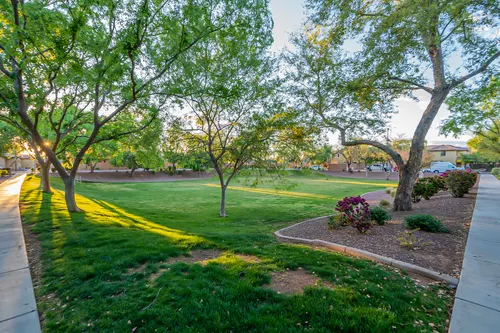 The Cove at Vincenz in Gilbert, Arizona