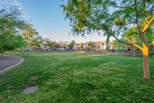 The Cove at Vincenz in Gilbert, Arizona