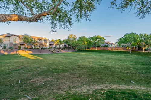 The Cove at Vincenz in Gilbert, Arizona