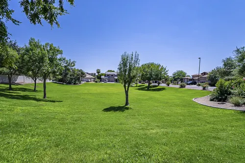 White Fern Farms in Gilbert, Arizona