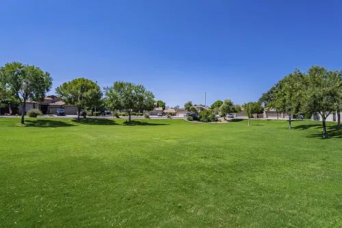 White Fern Farms in Gilbert, Arizona