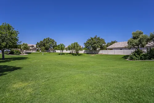 White Fern Farms in Gilbert, Arizona