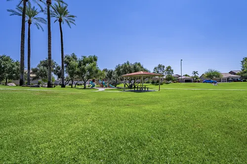 White Fern Farms in Gilbert, Arizona