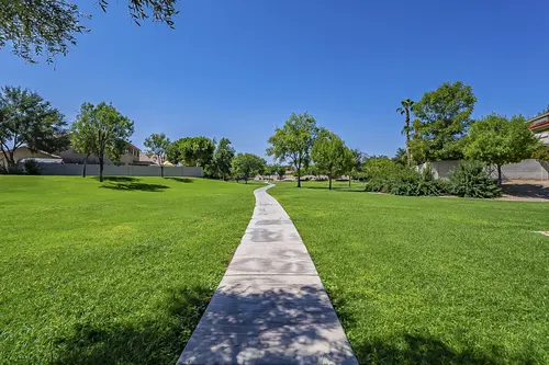 White Fern Farms in Gilbert, Arizona