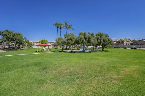 White Fern Farms in Gilbert, Arizona