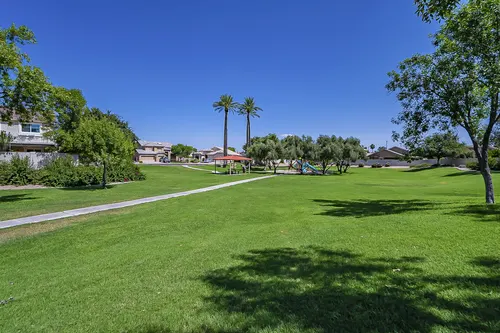 White Fern Farms in Gilbert, Arizona