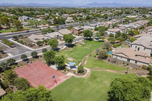 Whitewing at Higley in Gilbert, Arizona